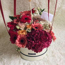 Lush - Hydrangeas, Gerbera Daisy & Eustoma Flower Box