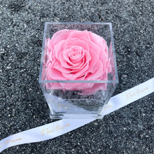 Everlast - Signature Preserved Roses Acrylic Box