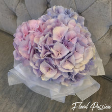 Cotton Candy - Hydrangeas Bouquet